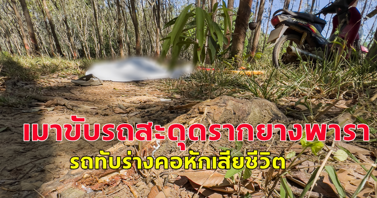 ชายวัย 50 ปี เมาเหล้าขาวขี่จยย. เข้าสวนยางพารา รถสะดุดรากยางพาราล้ม รถทับร่างคอหักเสียชีวิต