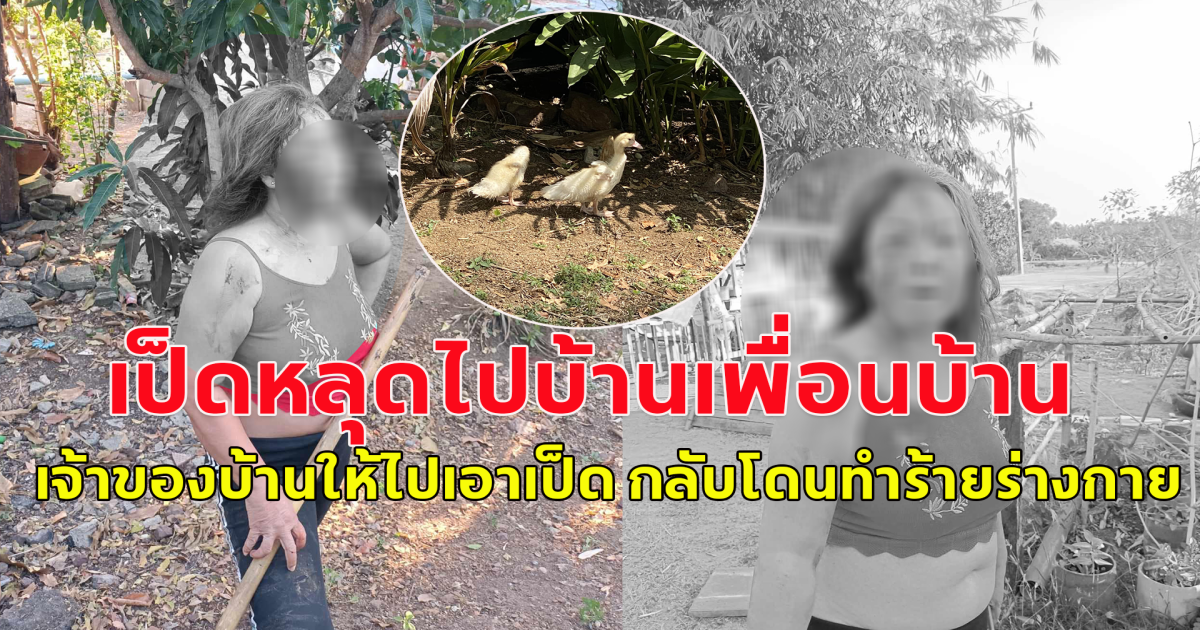 สาวโพสต์ เป็ดที่เลี้ยงไว้ หลุดเข้าไปบ้านเพื่อนบ้าน เจ้าของบอกให้ไปเอาเป็ดออกมา แต่กลับโดนทำร้ายร่างกาย แถมโดนแจ้งความบุกรุก