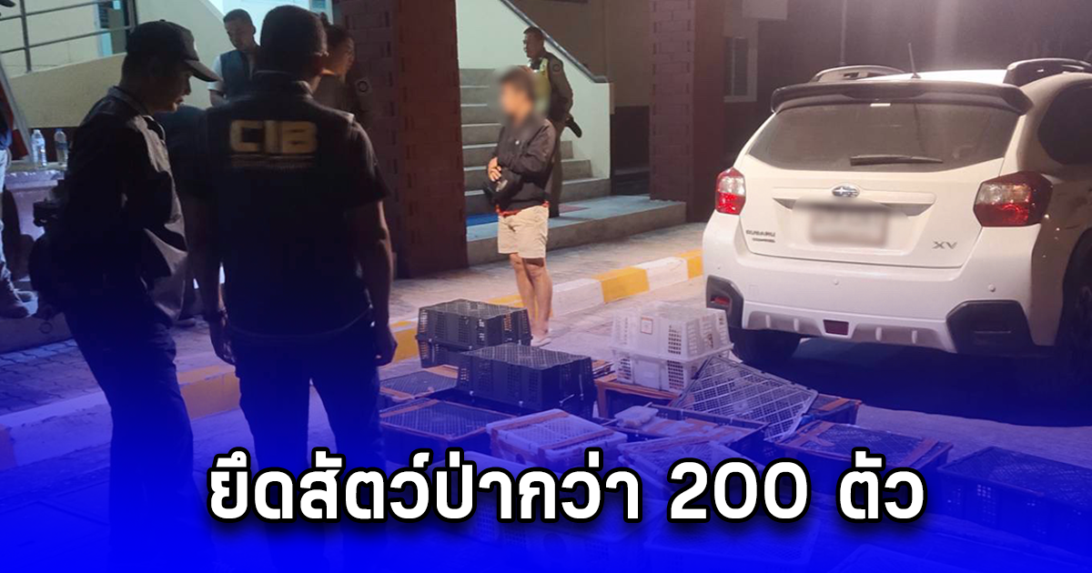 จับกุมขบวนการค้าสัตว์ป่าข้ามชาติ ยึดสัตว์ป่ากว่า 200 ตัว