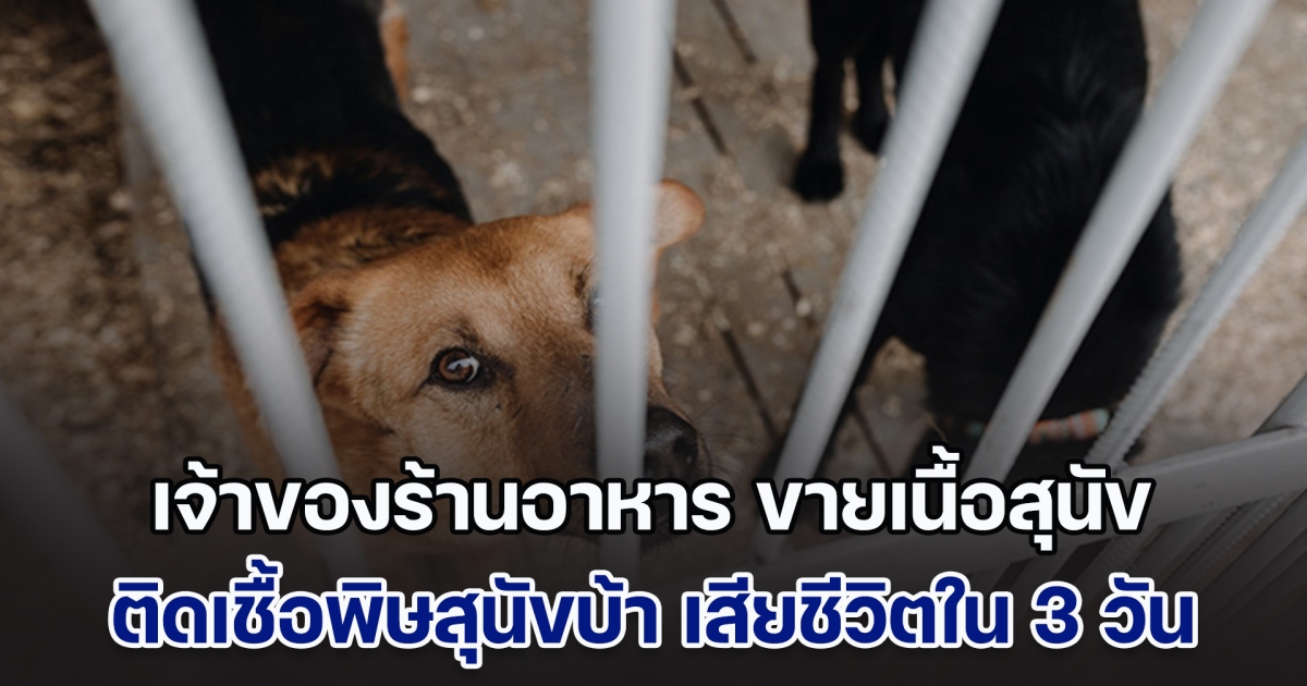 เจ้าของร้านอาหาร ขายเนื้อสุนัข ติดเชื้อพิษสุนัขบ้า เสียชีวิตภายใน 3 วัน จนท.เตือนหากถูกกัดหรือข่วน ต้องระวัง