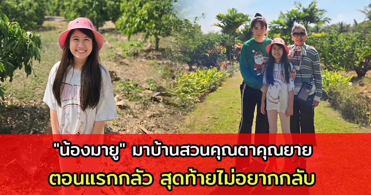 น้องมายู มาบ้านสวนคุณตาคุณยาย ตอนแรกกลัว สุดท้ายไม่อยากกลับ
