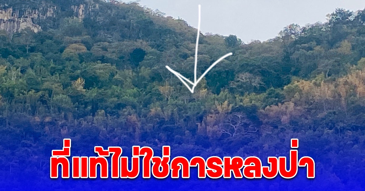 ปลอดภัยแล้ว กลุ่มอาจารย์-นักศึกษา ม.มหิดล เผยความจริงไม่ใช่การหลงป่า