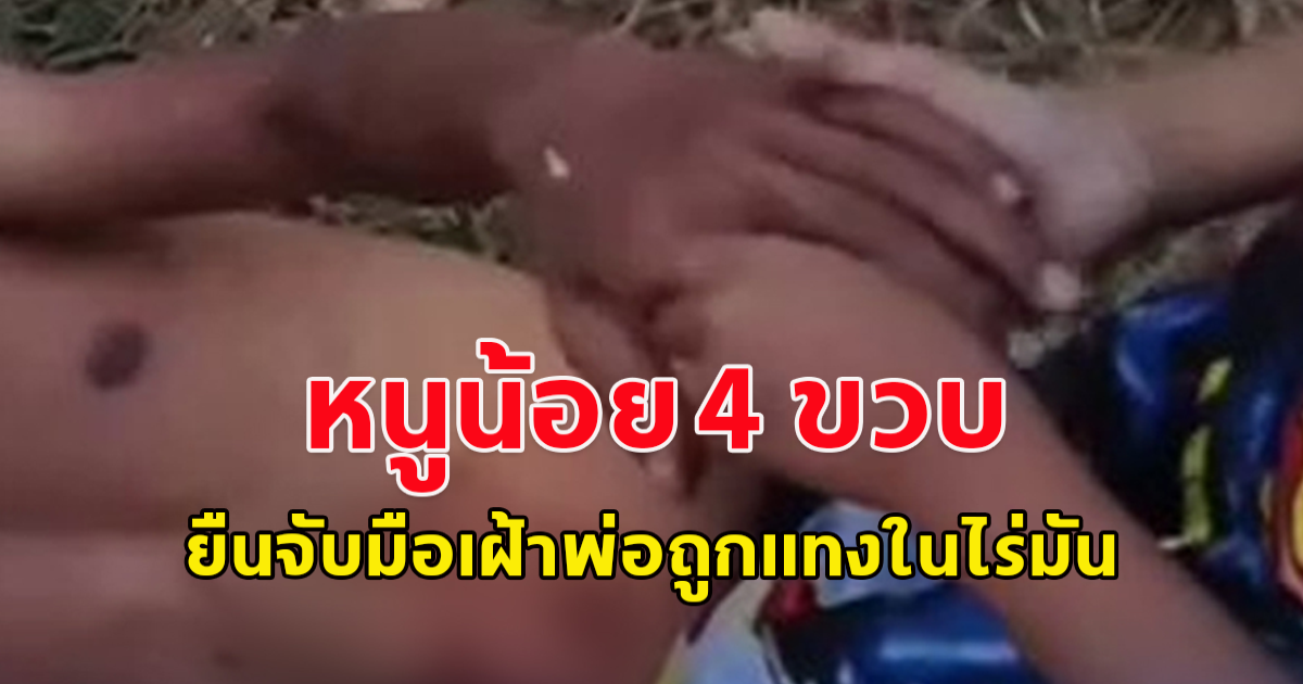 หนูน้อย 4 ขวบ ยืนจับมือเฝ้าพ่อถูกเมียทำร้ายในไร่มัน