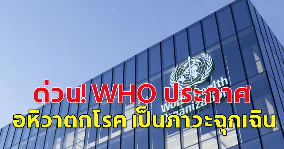 องค์การอนามัยโลก (WHO) ประกาศให้ “อหิวาตกโรค” เป็นภาวะฉุกเฉินครั้งใหญ่