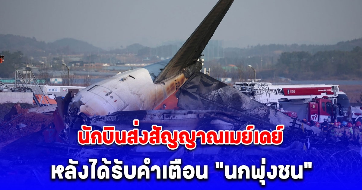 นักบินเจจูแอร์ ส่งสัญญาณเมย์เดย์ หลังได้รับคำเตือน นกพุ่งชน ก่อนเครื่องไถลรันเวย์ชนกำแพง