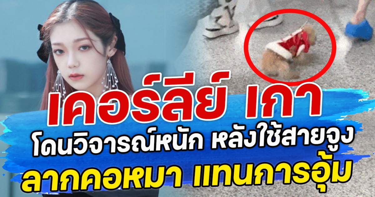 เคอร์ลีย์ เกา อดีตสมาชิก Bonbon Girls 303 โดนวิจารณ์หนัก หลังใช้สายจูง ลากคอหมา แทนการอุ้ม