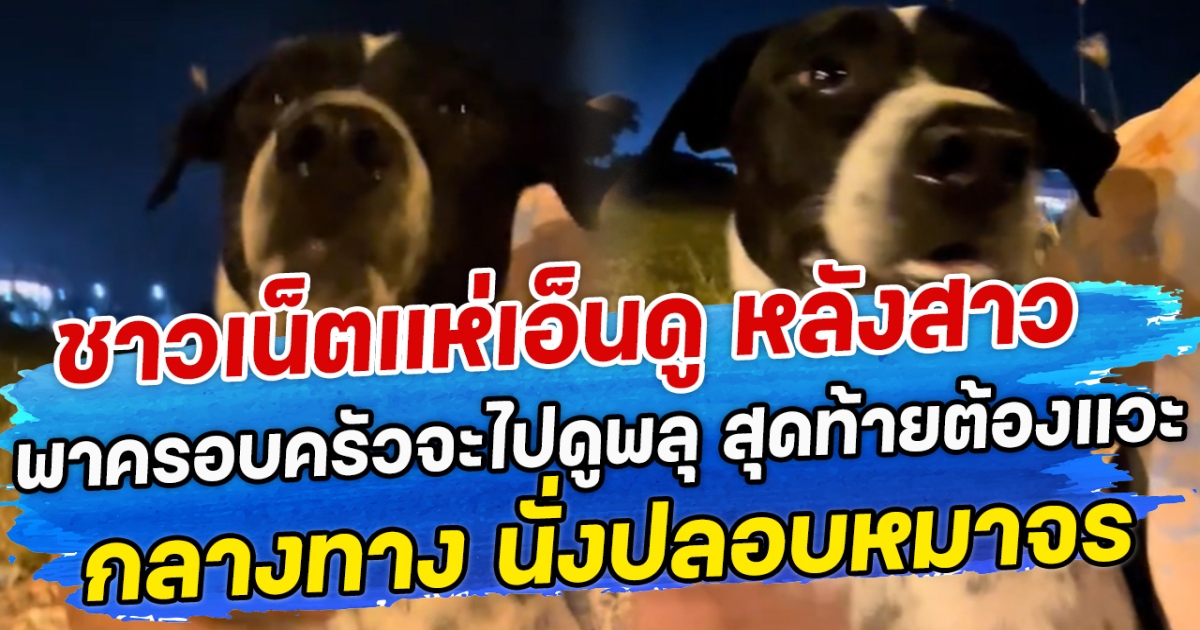 ชาวเน็ตแห่เอ็นดู หลังสาวพาครอบครัวจะไปดูพลุ สุดท้ายต้องแวะกลางทาง นั่งปลอบหมาจร