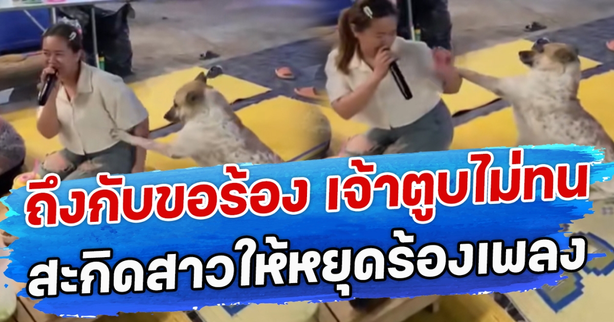 ถึงกับขอร้อง เจ้าตูบไม่ทน สะกิดสาวให้หยุดร้องเพลง