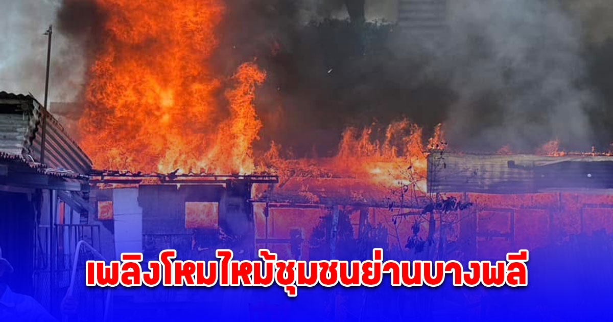 ระทึกเพลิงปริศนาโหมไหม้ชุมชนย่านบางพลี หญิงป่วยจิตเวชหนีไม่ทันถูกไฟคอกเสียชีวิต