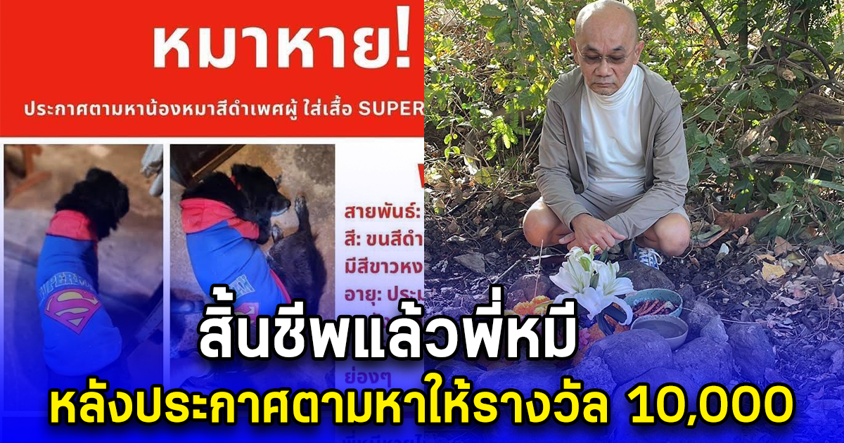 สิ้นชีพแล้วพี่หมี หลังประกาศตามหาให้รางวัล 10,000