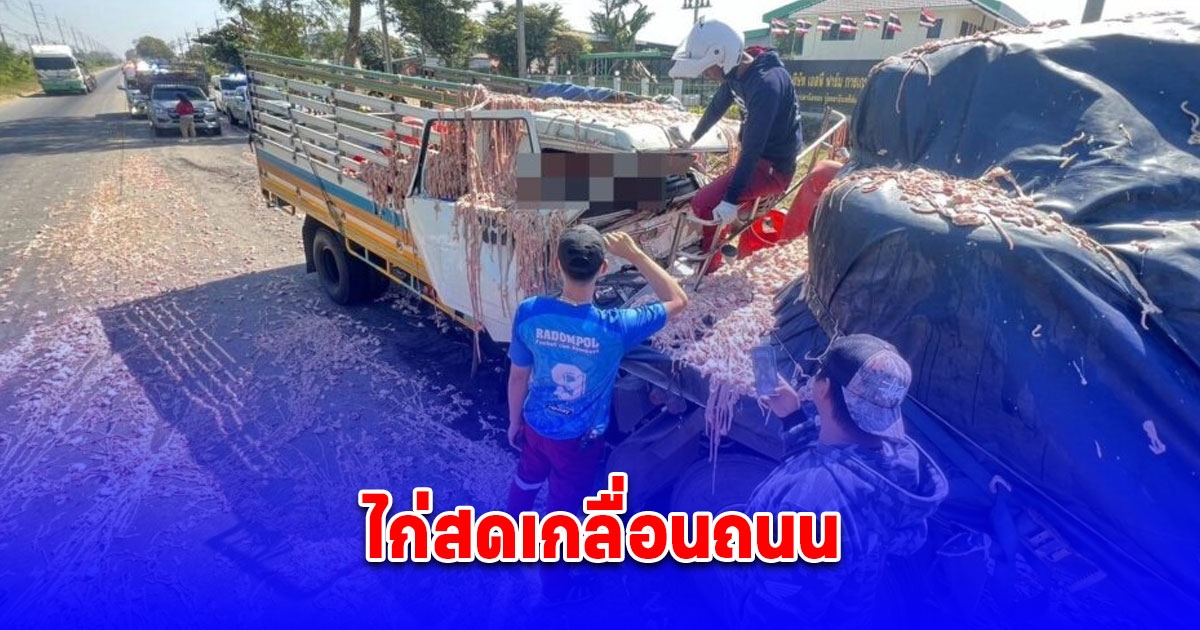 รถส่งไก่พุ่งชนท้าย 6 ล้อ คนขับเสียชีวิต ชิ้นส่วนไก่สดกระจายเกลื่อนถนน