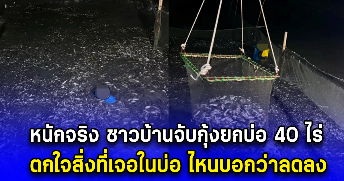 หนักจริง ชาวบ้านจับกุ้งยกบ่อ 40 ไร่ ตกใจสิ่งที่เจอในบ่อ ไหนบอกว่าลดลง