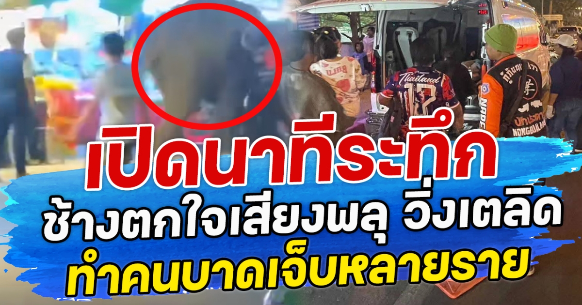 เปิดนาทีระทึก ช้างตกใจเสียงพลุ วิ่งเตลิด ทำคนบาดเจ็บหลายราย