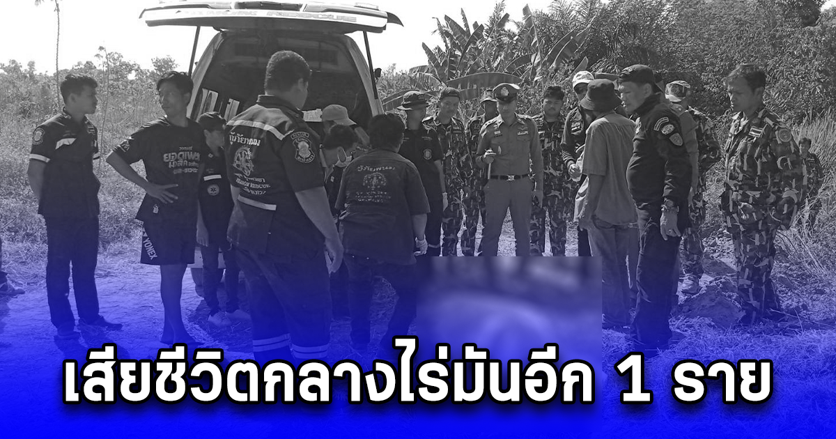 ชะตากรรมคนกับช้างป่ายังสังเวยไม่จบสิ้น ล่าสุดเซ่นกลางไร่มันอีก 1 ราย