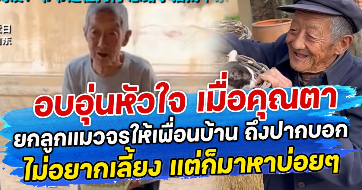 อบอุ่นหัวใจ เมื่อคุณตายกลูกแมวจรให้เพื่อนบ้าน ถึงปากบอกไม่อยากเลี้ยง แต่ก็มาหาบ่อยๆ