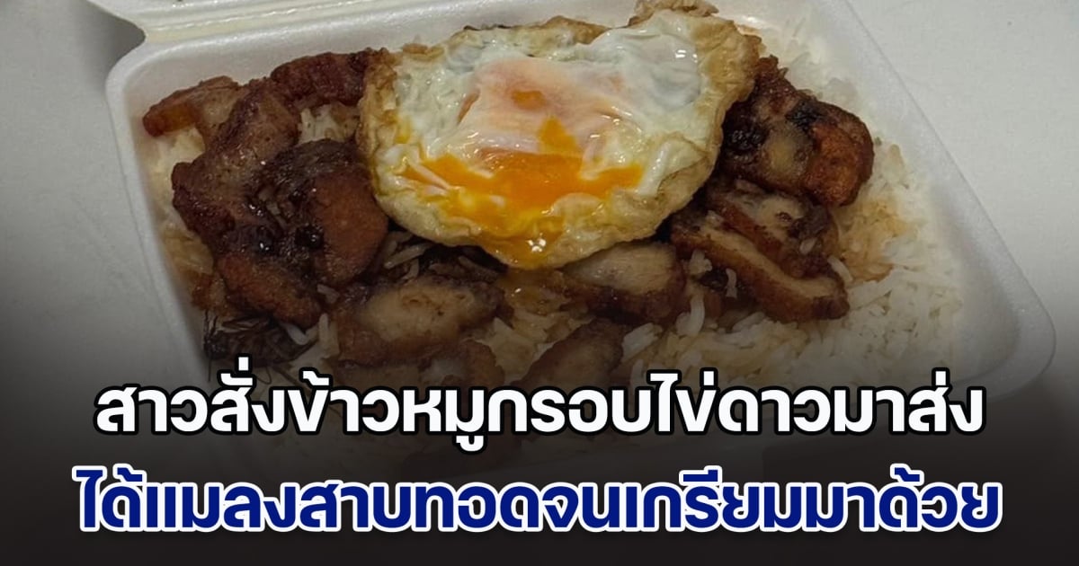 สาวสั่งข้าวหมูกรอบไข่ดาวมาส่ง เนื้อทอดจนเกรียมน่าทาน แต่พอเพ่งมองอีกที ชวนอี๋สุด ๆ กลมกลืนมาก ร้านพลาดหนัก