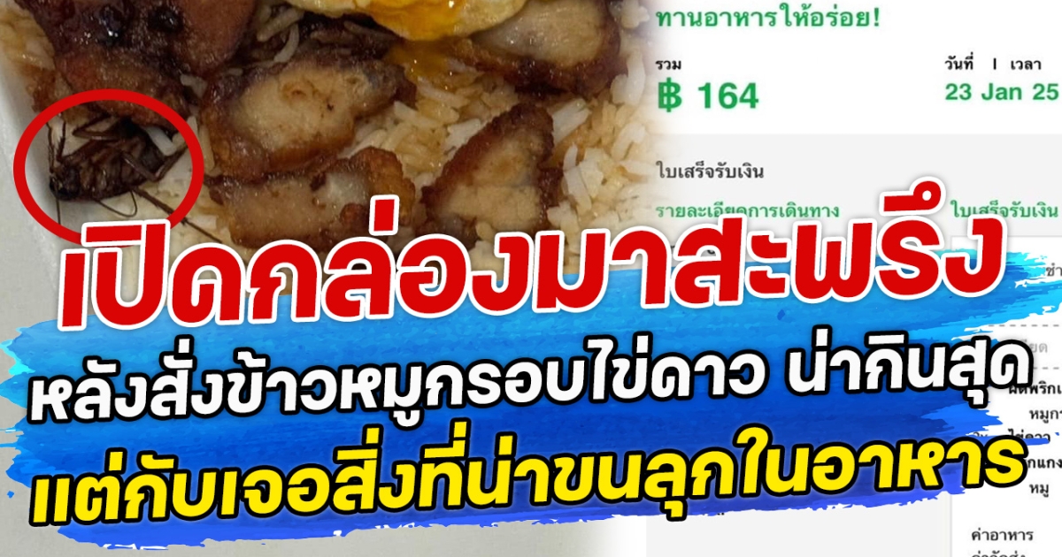 เปิดกล่องมาสะพรึง หลังสั่งข้าวหมูกรอบไข่ดาว น่ากินสุด แต่กับเจอสิ่งที่น่าขนลุกในอาหาร