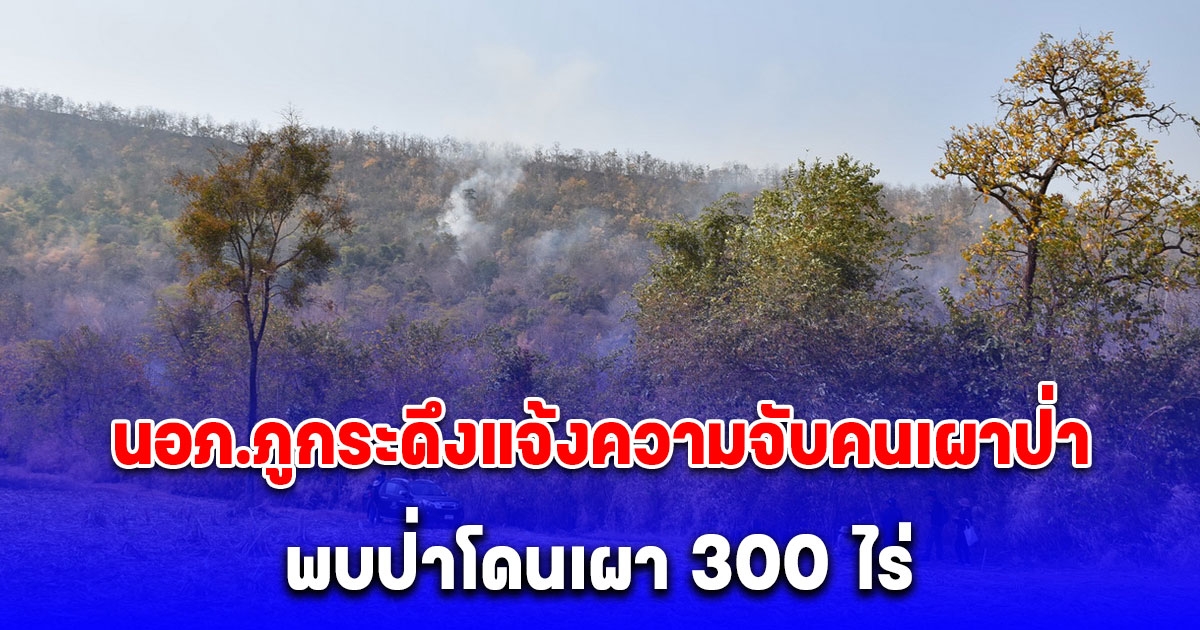 นอภ.ภูกระดึงแจ้งความจับคนเผาป่าภูค้อภูกระแต พบป่าโดนเผา 300 ไร่