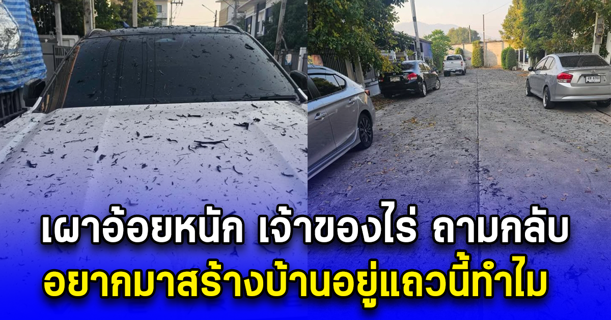 เผาอ้อยหนักมาก เศษใบหญ้าลอยเต็มท้องฟ้าตกใส่บ้าน-รถ ซ้ำถูกเจ้าของไร่ ถามกลับ อยากมาสร้างบ้านอยู่แถวนี้ทำไม