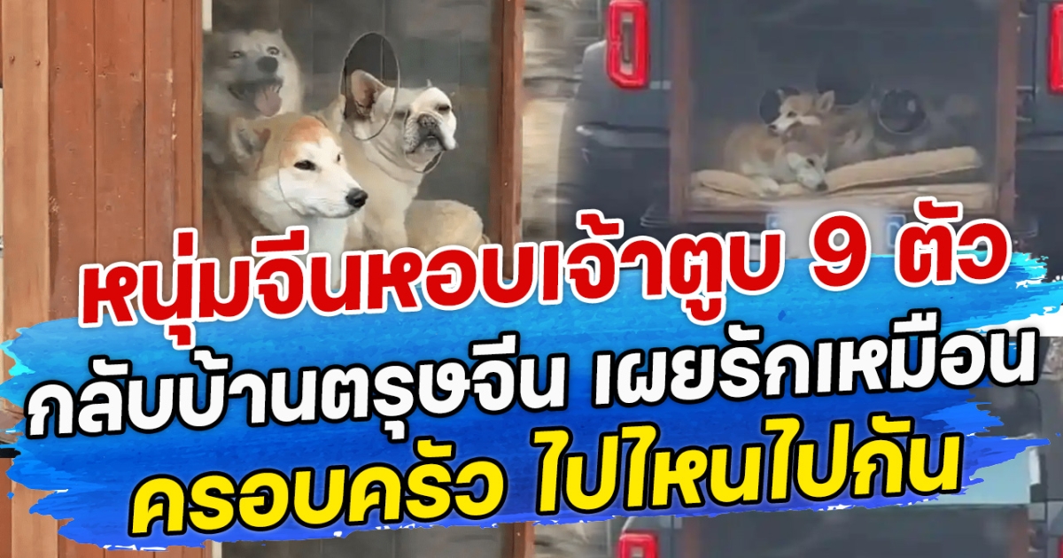หนุ่มจีนหอบเจ้าตูบ 9 ตัว กลับบ้านตรุษจีน เผยรักเหมือนครอบครัว ไปไหนไปกัน
