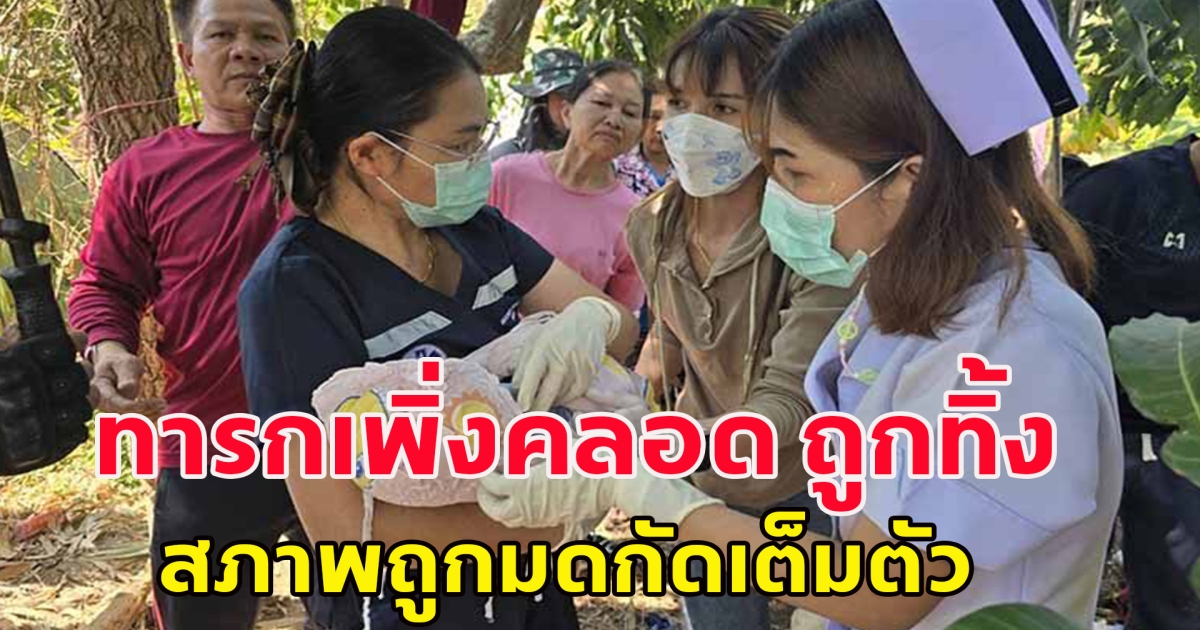 พบทารกเพิ่งคลอด ถูกทิ้งที่ป่ากล้วย สภาพถูกมดกัดเต็มตัว