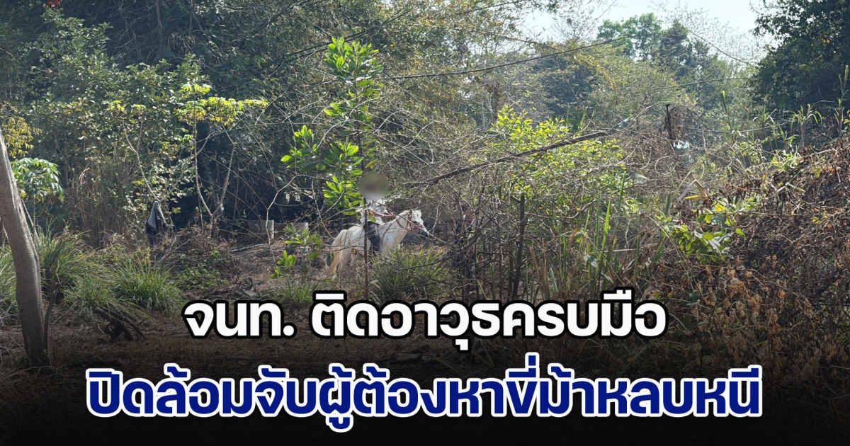 จนท. ติดอาวุธครบมือ ปิดล้อมจับผู้ต้องหาขี่ม้าหลบหนี หลังพาครอบครัว รุกที่ชาวบ้านปลูกเพิงพัก ไม่สนหมายบังคับคดี