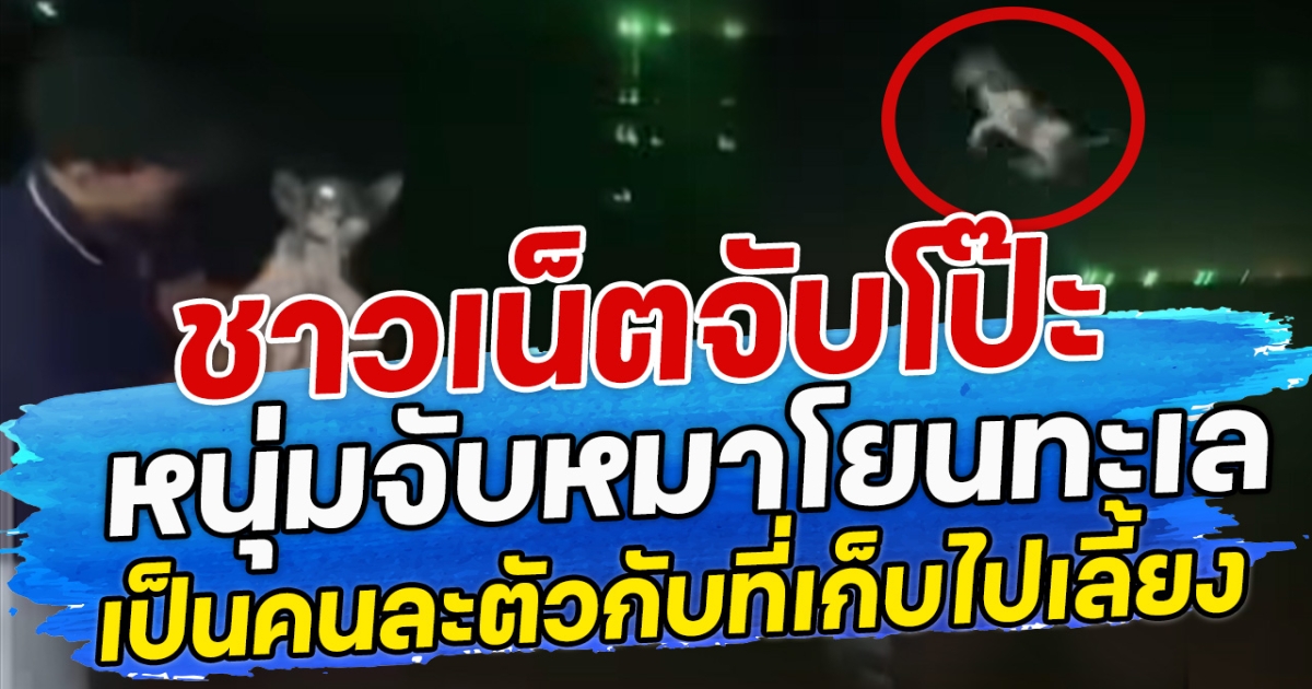 ชาวเน็ตจับโป๊ะ หนุ่มจับหมาโยนทะเล เป็นคนละตัวกับที่เก็บไปเลี้ยง
