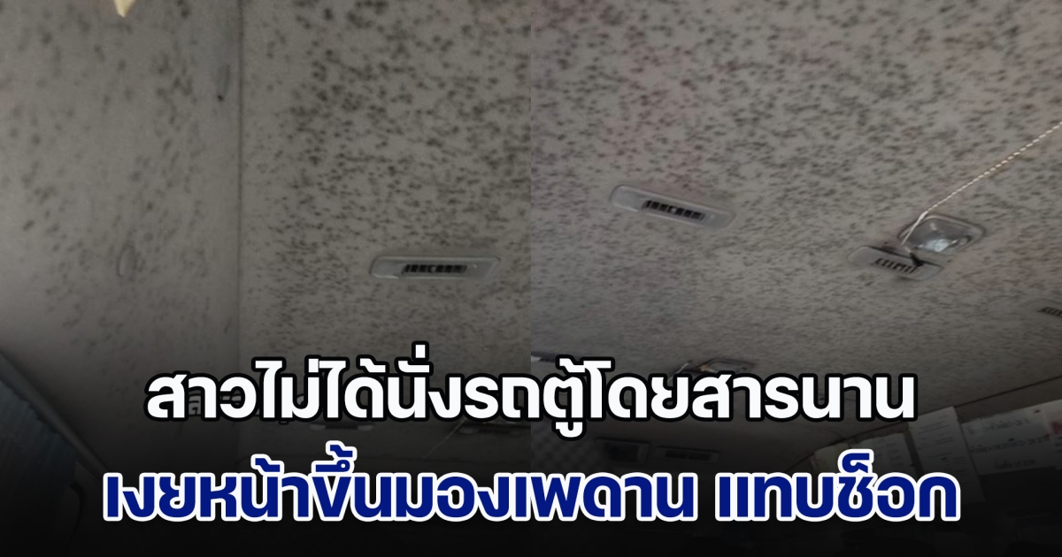 เกือบช็อก! สาวไม่ได้นั่งรถตู้โดยสารนาน เงยหน้าขึ้นมองเพดาน แทบไม่กล้าหายใจ ชาวเน็ตใบ้สายไหน