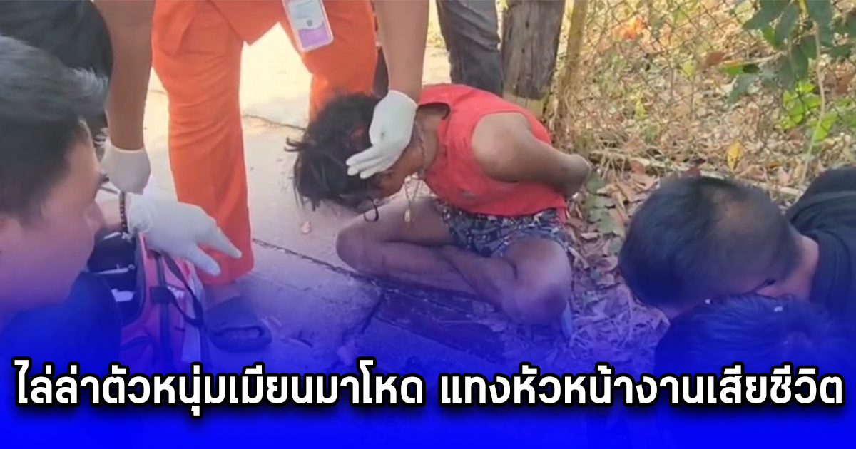 ไล่ล่าตัวหนุ่มเมียนมาโหด แทงหัวหน้างานเสียชีวิต ก่อนหนีไปกบดานในป่าช้า