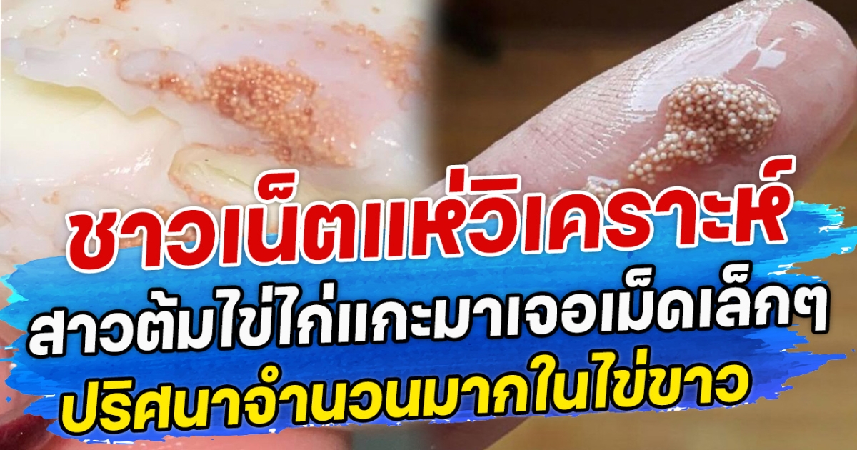 สาวโดนแม่ด่ายับ หลังรู้น้องแมวติดอยู่ในรถยันเช้า จนชาวเน็ตแซว รู้ยังใครที่จะได้มรดก