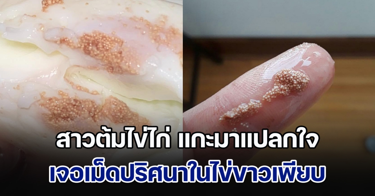 สาวต้มไข่ไก่ แกะมาแปลกใจ เจอเม็ดปริศนาในไข่ขาวเพียบ ด้านชาวเน็ตช่วยกันหาคำตอบ พร้อมบอกวิธีแก้