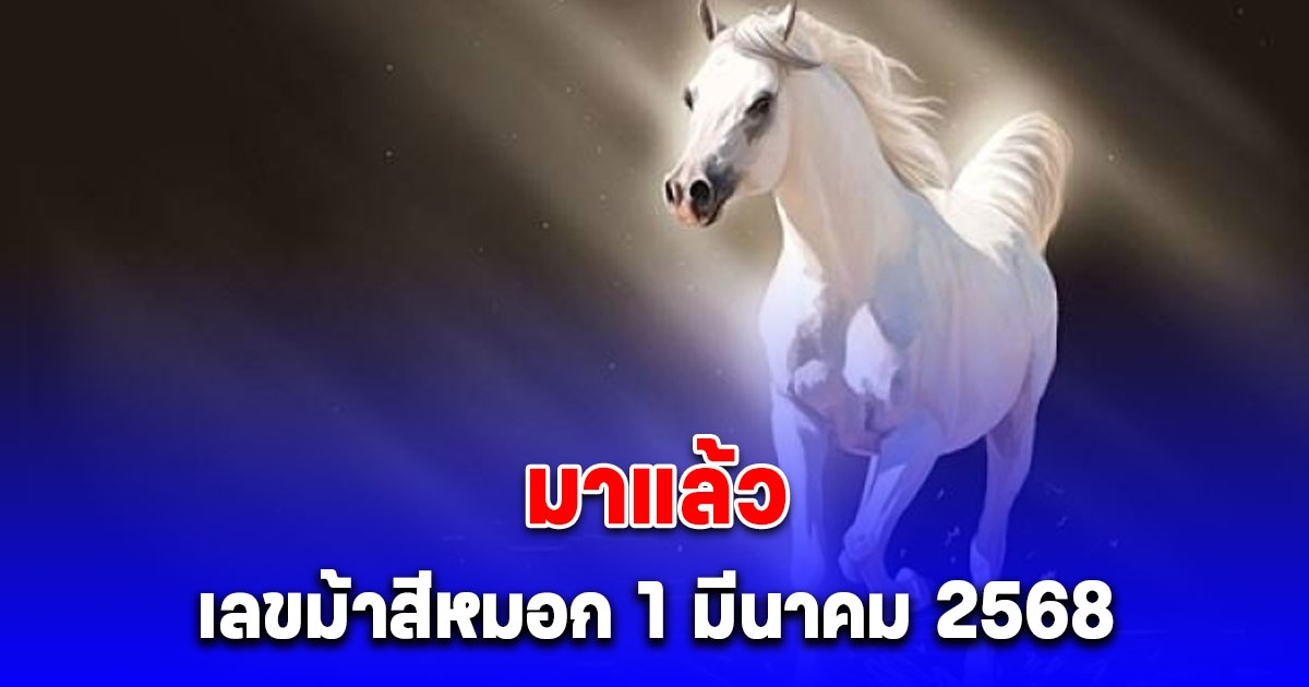 มาแล้ว เลขม้าสีหมอก 1 มีนาคม 2568