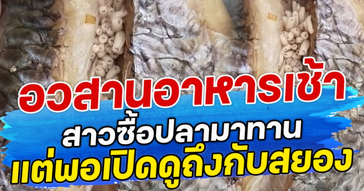 อวสานอาหารเช้า สาวซื้อปลามาทาน แต่พอเปิดดูถึงกับสยอง
