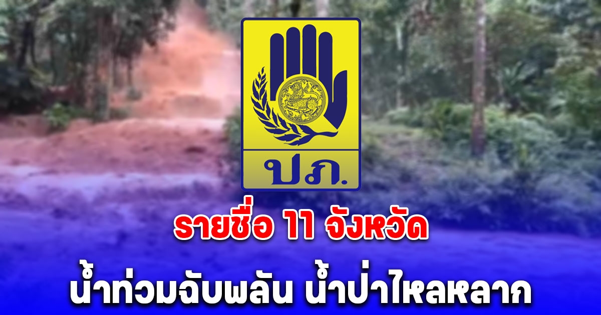 เปิดรายชื่อ 11 จังหวัด หลัง ปภ.เตือนเฝ้าระวังสถานการณ์น้ำท่วมฉับพลัน น้ำป่าไหลหลาก