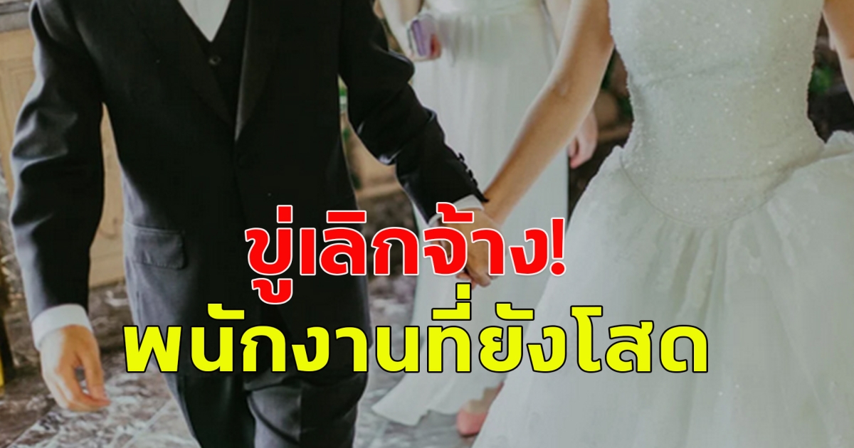 บริษัทในจีน ออกนโยบาย ให้พนักงานที่โสดแต่งงาน ถ้าไม่แต่งหรือยังโสดจะถูกไล่ออก (ข่าวต่างประเทศ)