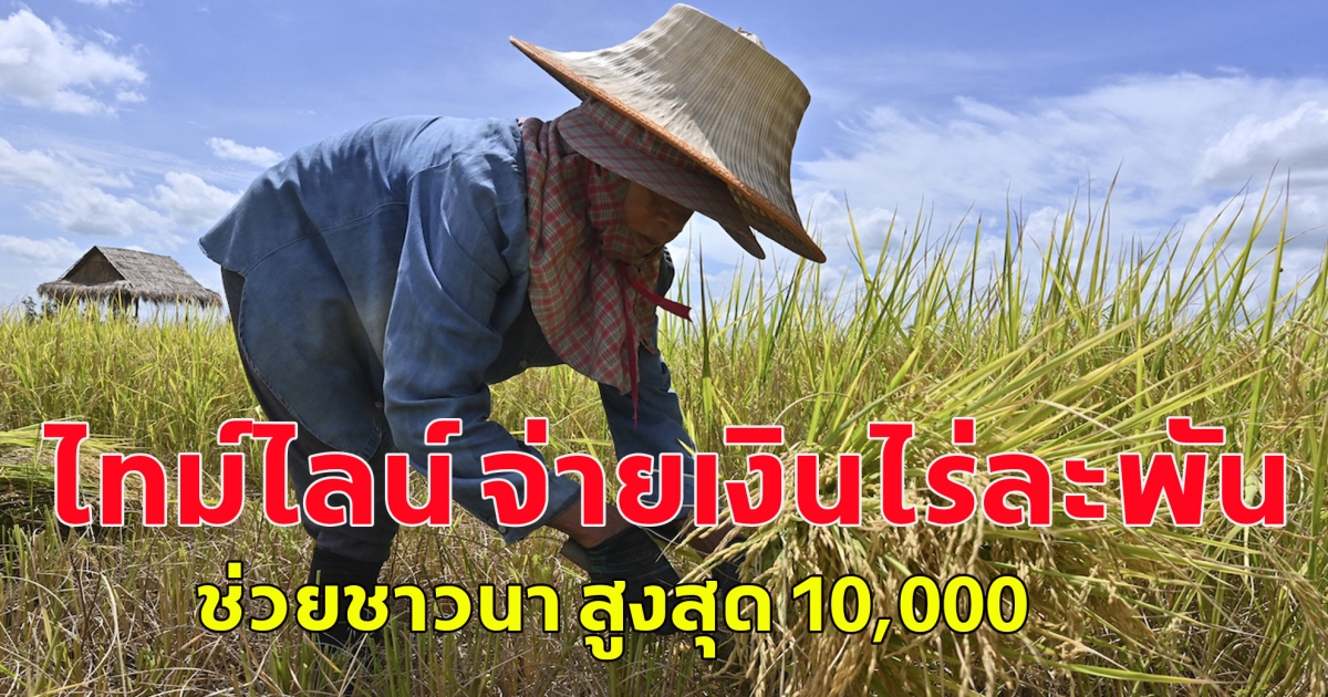 ไทม์ไลน์ จ่ายเงินไร่ละพัน ช่วยชาวนา สูงสุด 10,000