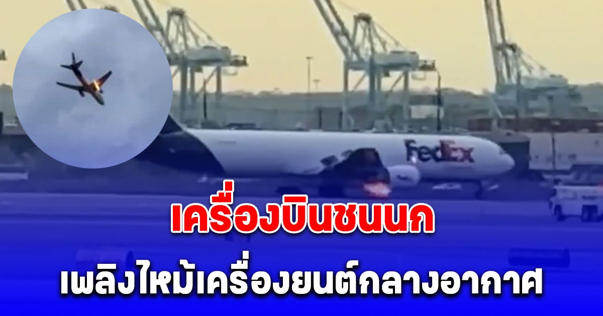 ระทึก! เครื่องบินขนส่งสินค้าชนนก ไฟลุกไหม้เครื่องยนต์กลางอากาศ