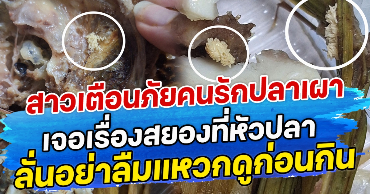 สาวเตือนภัยคนรักปลาเผา เจอเรื่องสยองที่หัวปลา ลั่นอย่าลืมแหวกดูก่อนกิน
