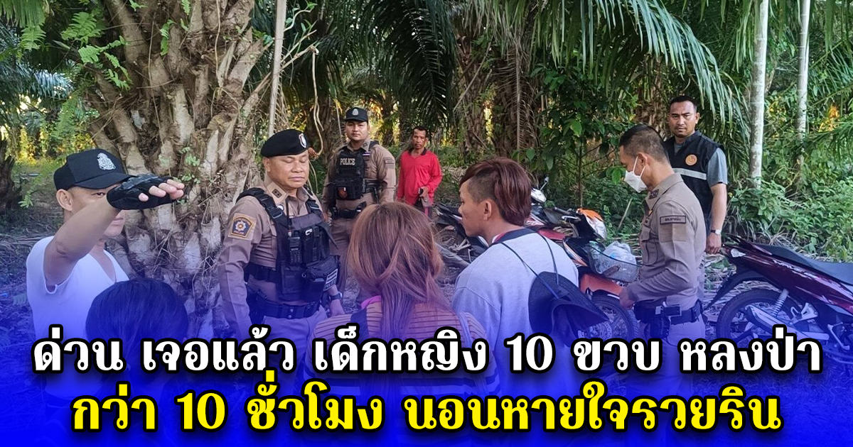 ด่วน เจอแล้ว เด็กหญิง 10 ขวบ หลงป่า กว่า 10 ชั่วโมง นอนหายใจรวยริน