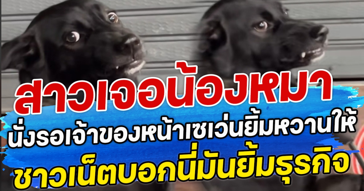 สาวเจอน้องหมา นั่งรอเจ้าของหน้าเซเว่นยิ้มหวานให้ ชาวเน็ตบอกนี่มันยิ้มธุรกิจ