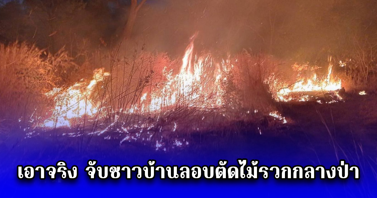 เอาจริง จับชาวบ้านลอบตัดไม้รวกกลางป่า ขสป.สลักพระ ด้าน อธิบดีกรมอุทยานฯสั่งปิดป่าเขตฯสลักพระถาวร ใครลอบเผาจับได้ โทษสถานหนักปรับอ่วม