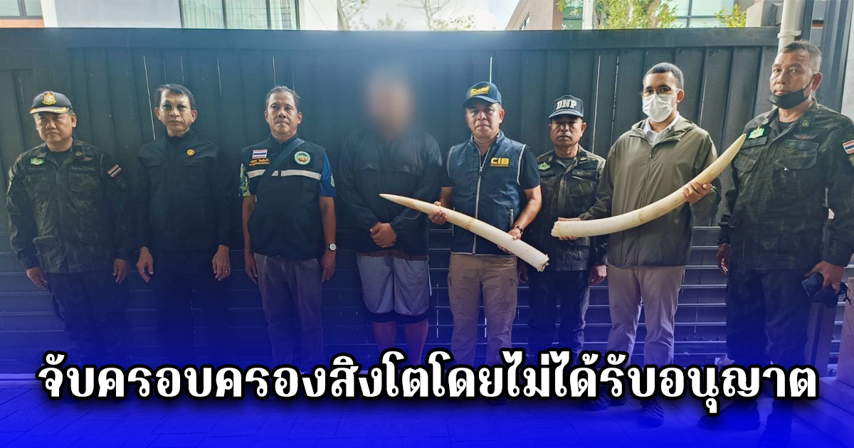 จับครอบครองสิงโตโดยไม่ได้รับอนุญาต