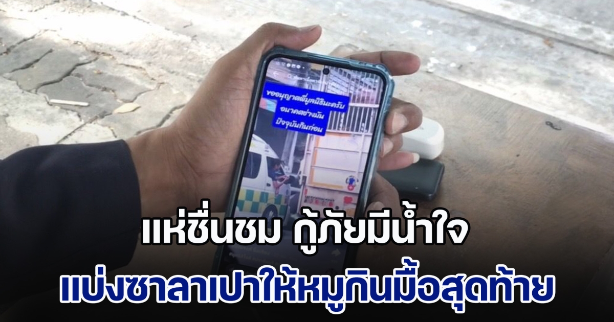 แห่ชื่นชม กู้ภัยมีน้ำใจ แบ่งซาลาเปาให้หมูกินมื้อสุดท้าย ขณะกำลังไปโรงฆ่าสัตว์