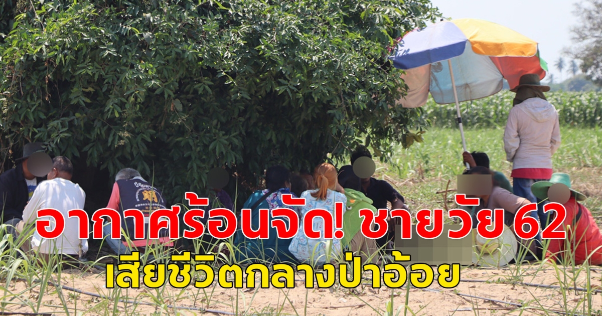 อากาศร้อนจัด! ชายวัย 62 ไปรับจ้างตัดอ้อย เป็นลมหน้ามืด เสียชีวิตกลางป่าอ้อย