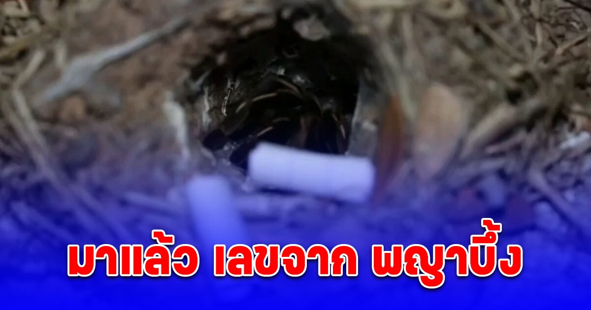 ขนลุก พญาบึ้ง ให้โชค 2 ตัวเน้นๆ