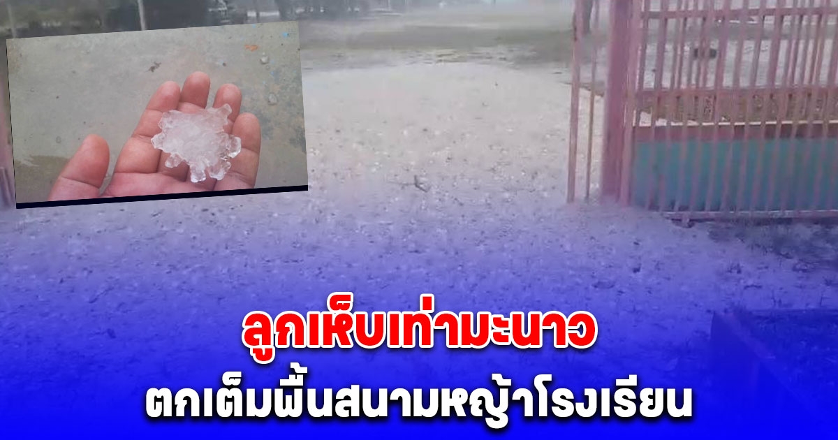 พายุฤดูร้อนถล่ม ทำฝนตกหนัก ลูกเห็บเท่ามะนาว ตกเต็มพื้นสนามหญ้าโรงเรียน