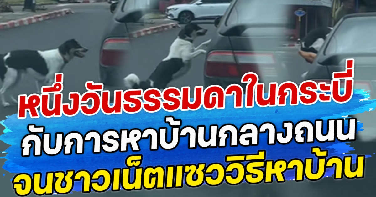 หนึ่งวันธรรมดาในกระบี่ กับการหาบ้านกลางถนน จนชาวเน็ตแซววิธีหาบ้าน