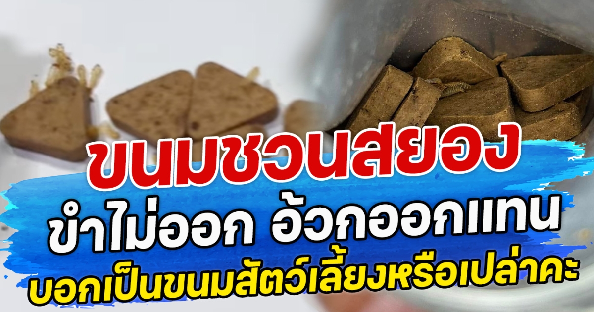 ขนมชวนสยอง ขำไม่ออก อ้วกออกแทน จนชาวเน็ตบอกเป็นขนมสัตว์เลี้ยงหรือเปล่าคะ