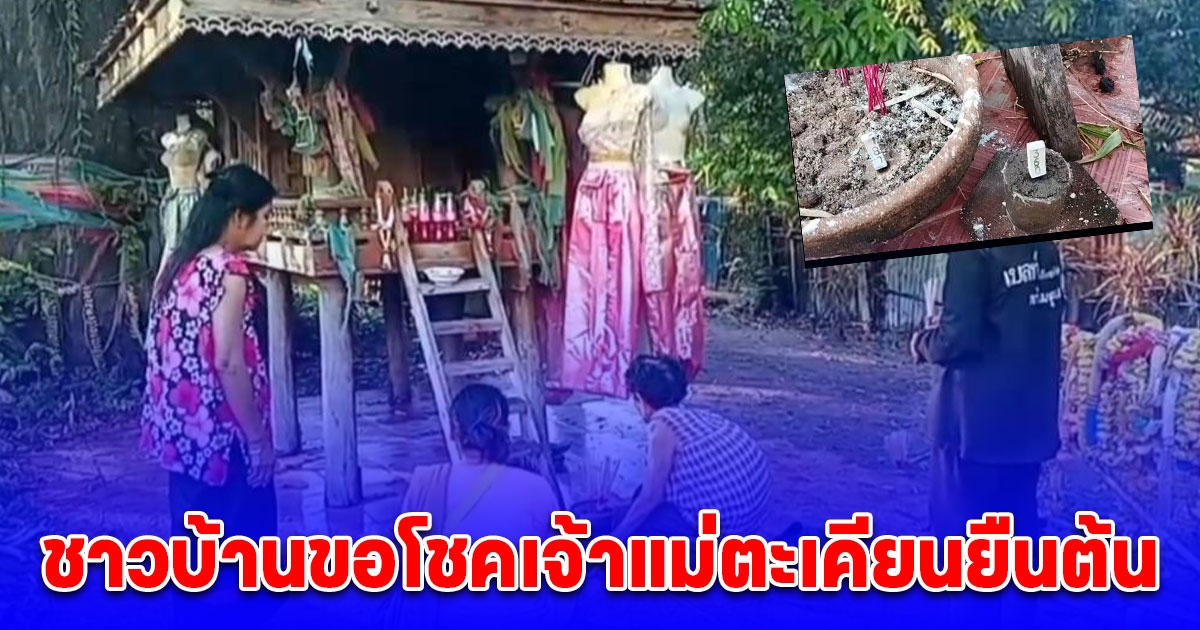 ชาวบ้านขอโชคเจ้าแม่ตะเคียนยืนต้น เชื่อมี 12 ร่าง สวมชุดไทยอร่ามตาเฝ้าต้นตะเคียนอายุ 100 กว่าปี ได้เลข 3 ตัว