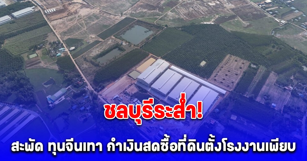 สะพัด จีนเทา กำเงินสดกว้านซื้อที่ดินตั้งโรงงาน